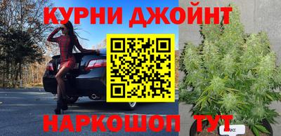 прущие грибы Ливны
