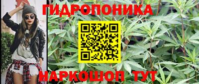 прущие грибы Ливны