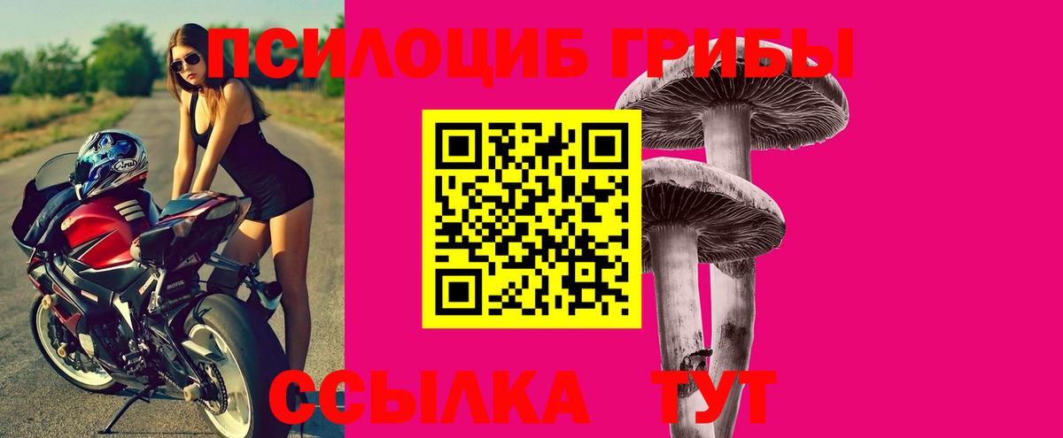 Псилоцибиновые грибы Psilocybine cubensis  Псилоцибиновые грибы Magic Shrooms  Гусиноозёрск  Вход с VPN 