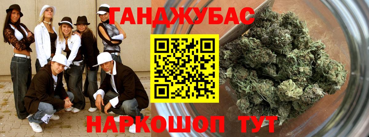 Шишки марихуана план  Вход с VPN  Канабис сатива  Шишки марихуана индика  Гусиноозёрск 